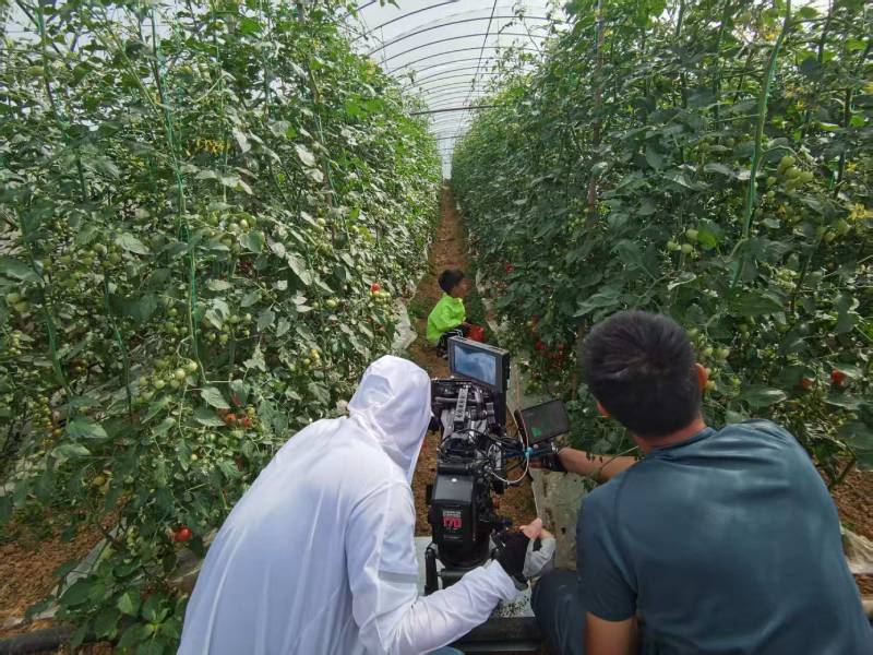 曲沃县产品宣传视频拍摄公司进阶指南，助力品牌抢占传播高地